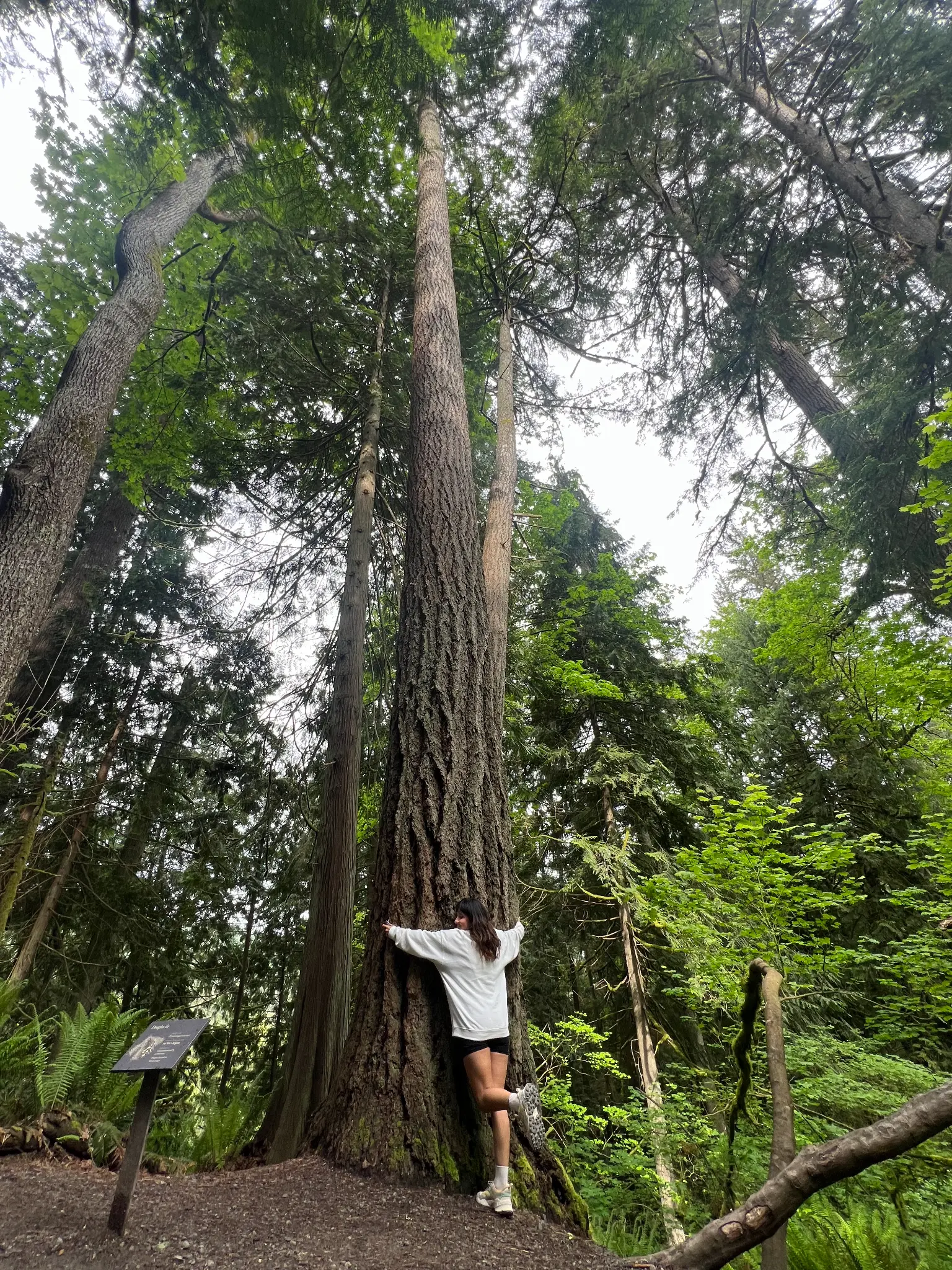 Abi spending restorative time in nature
