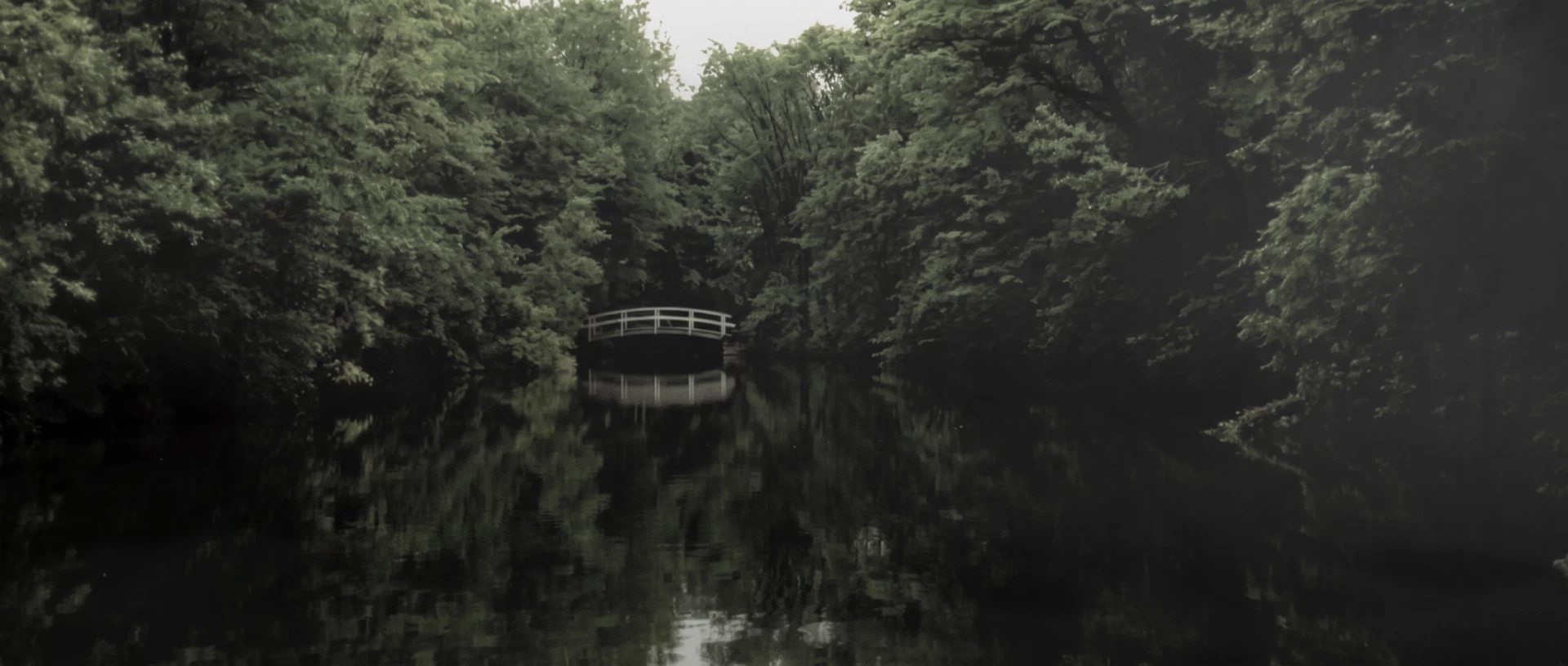 Quiet forest waterway with a pale footbridge reflected in the still water