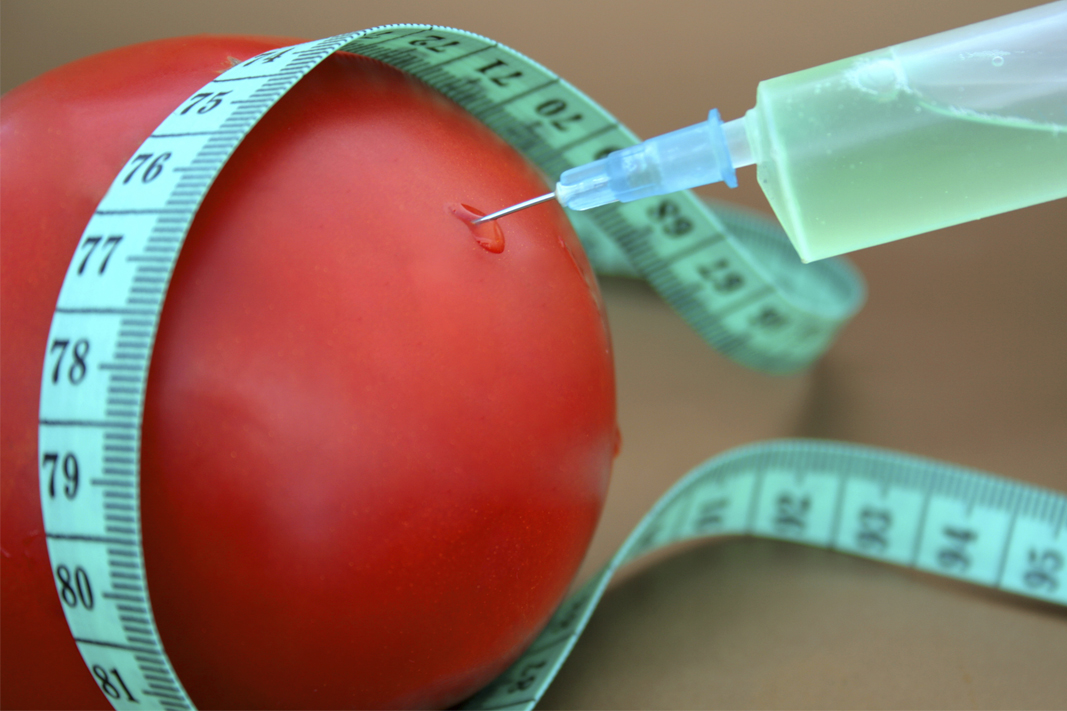 tomato weight loss injection
